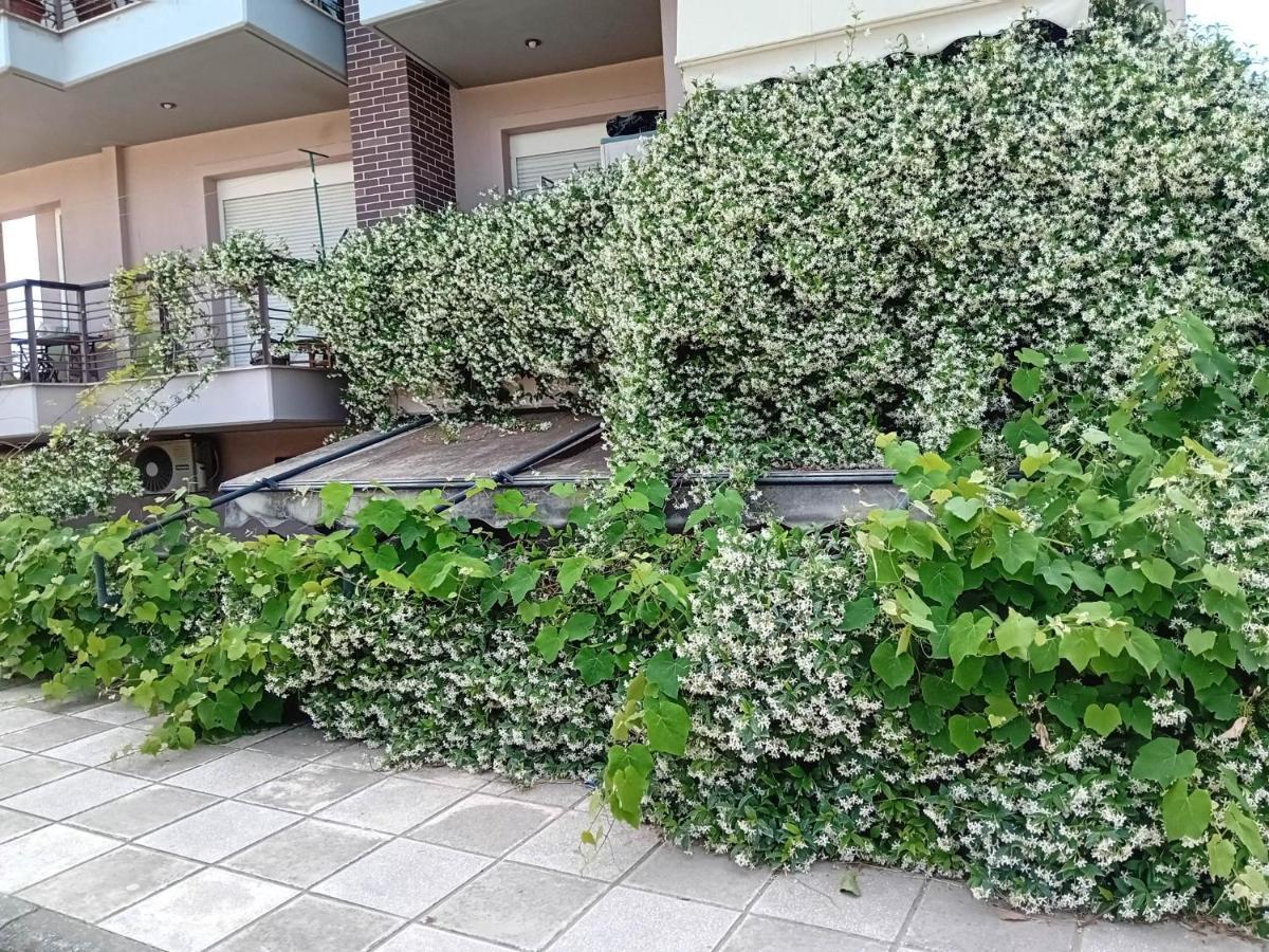 테살로니키 Stella'S Jasmine 아파트 외부 사진